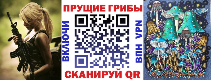 Купить где  Томмот  Галлюциногенные грибы Cubensis 